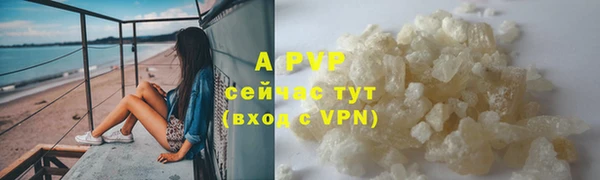 apvp Верея