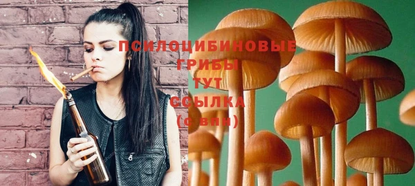 трава Верхнеуральск