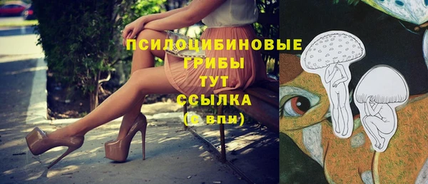 трава Верхнеуральск