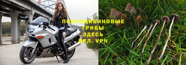 бошки Верхний Тагил