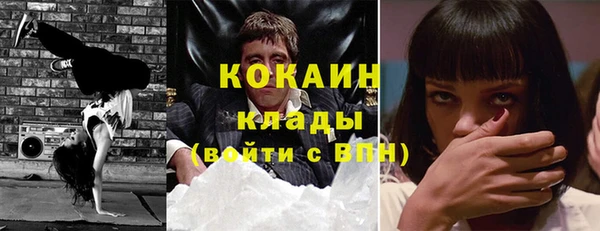apvp Верея