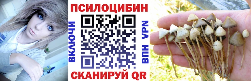 Псилоцибиновые грибы мицелий  дарк нет официальный сайт  Яровое 